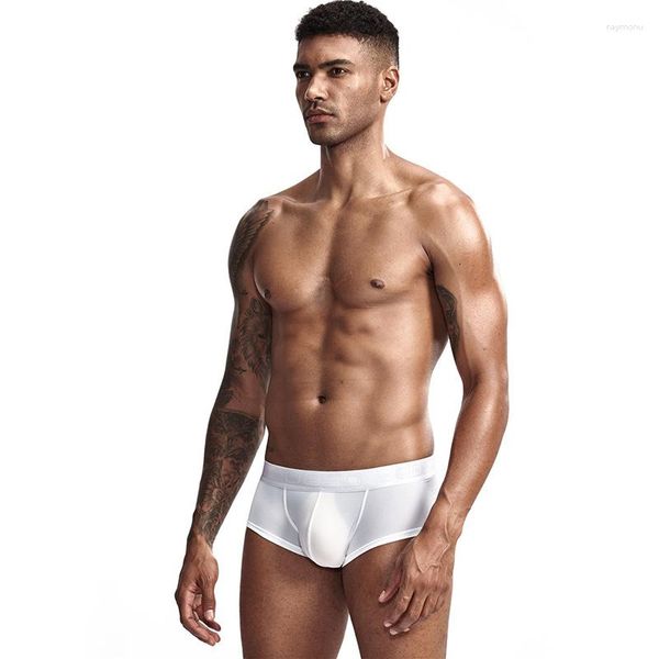 Cuecas Icool Men's Underwear Cor Sólida Boxer Shorts Modal Confortável Sexy Calcinha Gay Boy Bonito