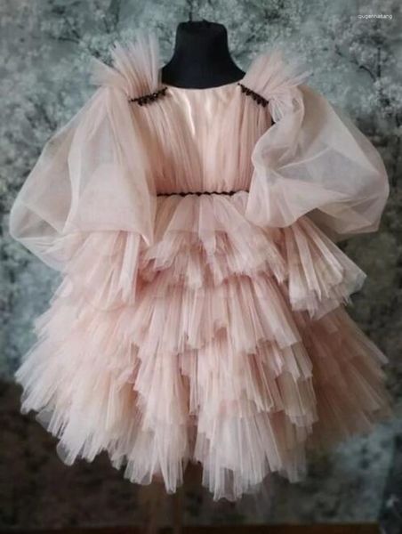 Mädchenkleider Schönes rosa Babykleid mit langen Puffärmeln O-Ausschnitt Säugling Tutu Outfit Kind Erster Geburtstag Weihnachtsgeschenk 12M 24M