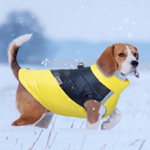 Cão vestuário d0ad cães jaquetas inverno casaco quente para gato stand colar à prova de vento