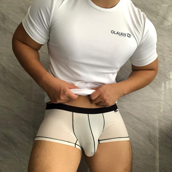 Cuecas ICOOL Transparente Men's Underwear Boxer Shorts Gelo Seda Branco e Cinza Cor Respirável Confortável