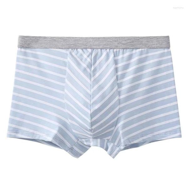 Underpants 2 peças meados de cintura alta algodão masculino respirável boxe underwear2023 sexy listrado impresso confortável esportes shorts