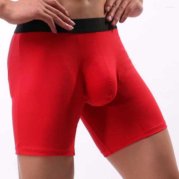 Cuecas masculinas longas boxer roupa interior sexy u convexo boxers de perna longa calcinha masculina de algodão homens boxershorts euro tamanho cor sólida homem lingerie