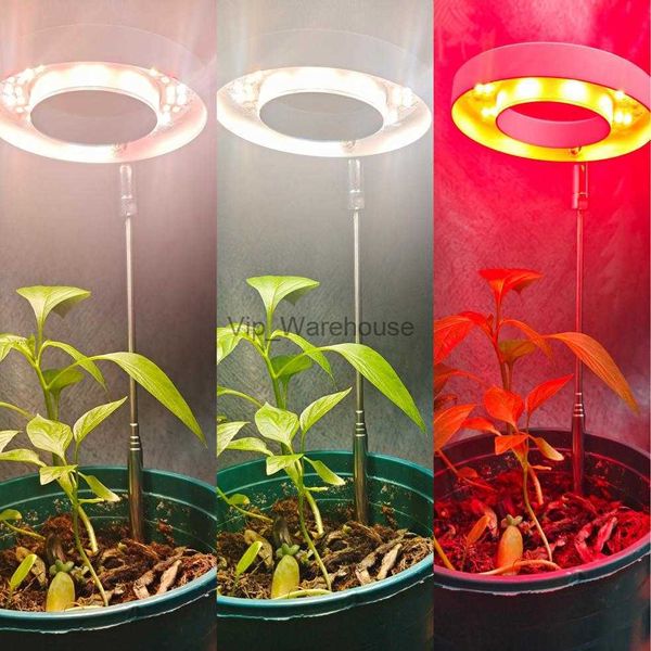 Crescer luzes DC5V USB LED Full Spectrum Lamp para mudas de plantas de interior Home Flower Light Grow Light Phytolamp para plantas flor florescer vermelho YQ230926