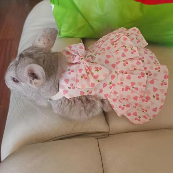 Pequenos Suprimentos de Animais Doce Floret Coelho Chinchila Saia Vestido com Fivela Animais Bonitos Roupas para Animais de Estimação Coelho Cobaia Conejos Accesorios 230925