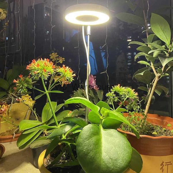 Grow Lights LED Grow Light Spettro completo Regolabile in altezza Dimmerabile Lampada per coltivazione di piante per piante da interno Bonsai Piantine di fiori idroponici YQ230926