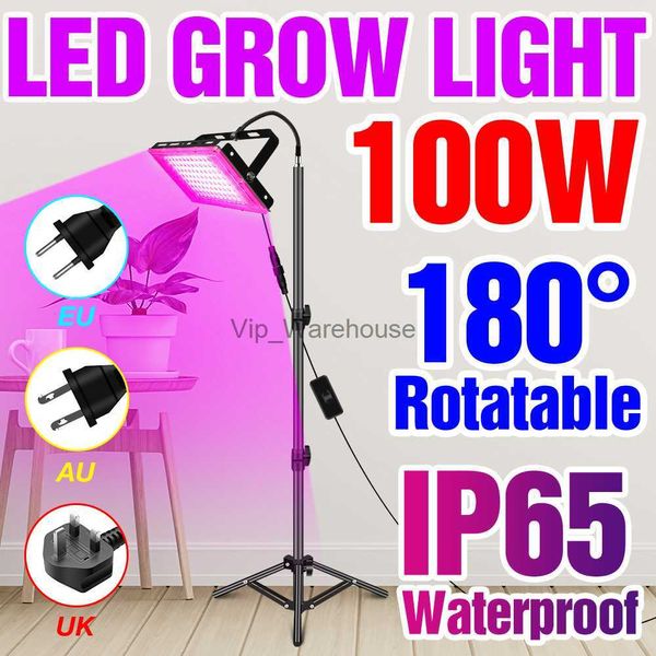 Luzes de cultivo Full Spectrum LED Grow Light Indoor Phytolamp para plantas Lâmpada UV Mudas Sementes de flores Hidroponia Cultivo Growbox Floodligh YQ230926