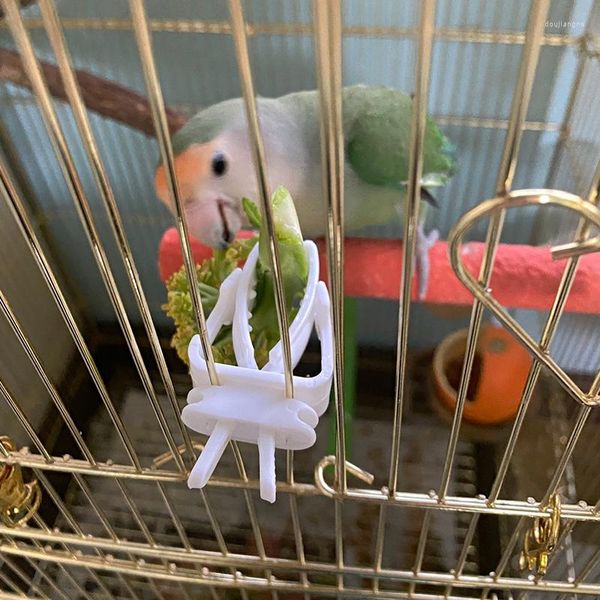 Altre forniture per uccelli delicati clip di alimentazione a gabbia Gadget pappagalli comodi per alimentazione vegetale e frutta