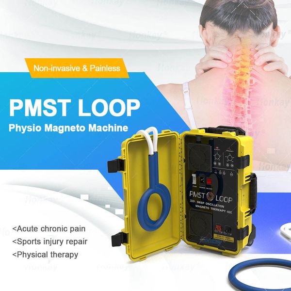 Sağlık 6000 Gauss PEMF Electro Manyetik Terapi PMST Döngü Fizik Tedavi Makinesi Kemik Şifa Spor Yaralanmaları Veteriner At ve İnsan için Ağrı Kaçınma