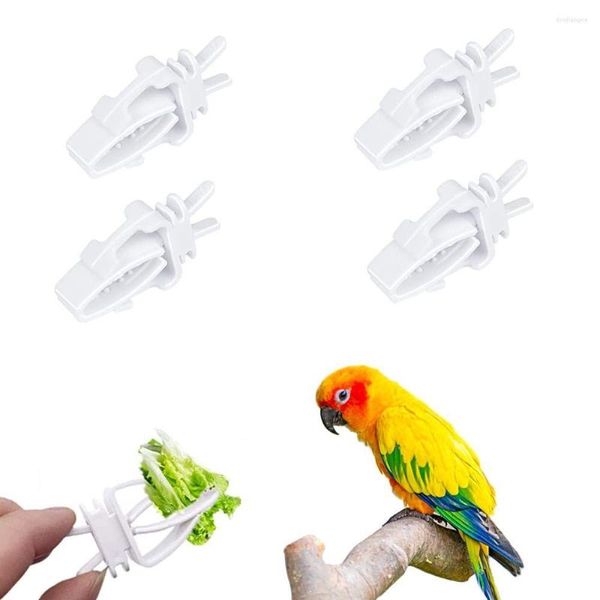 Andere Vogelbedarf 4 PCs Obsthalter Papagei Gemüse Leckerli Feeder Langlebige Kunststoffklammern Käfigzubehör für Sittiche Hamster Haustier