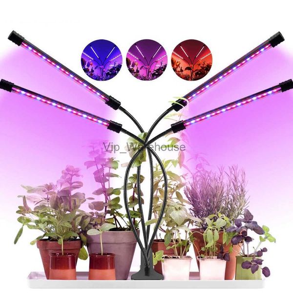 Grow Lights 2/3/4 Kafalar 80led Full Spectrum Bitki Büyüyen Işık Dimmabable USB FYTO LAMBA TIMER ENLIKLILILIK LAMBERLER İÇİN EVİ EV SAYI YQ230926