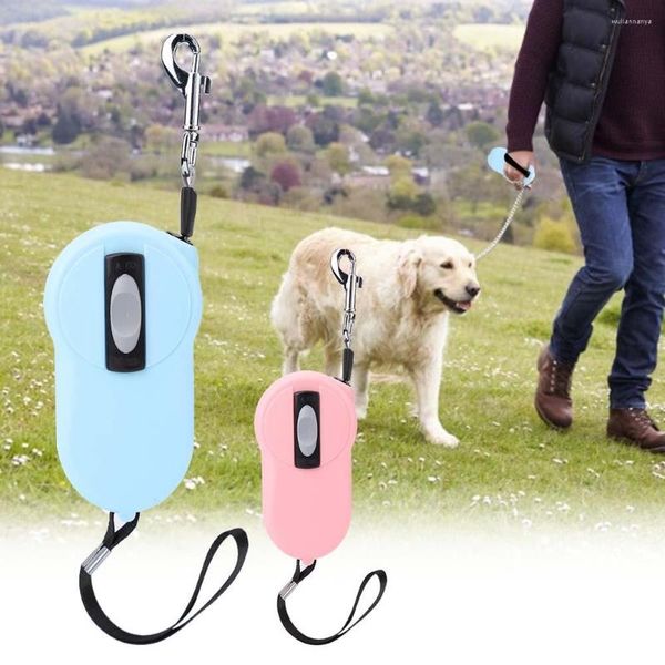 Hundehalsbänder, einziehbare Leine, strapazierfähiges Haustier-Nylon-Reflexband mit befreitem Schloss, tragbares Zugseil-Zubehör