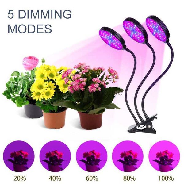 Crescer Luzes Full Spectrum Phytolamps USB Grow Light com Timer Control Desktop Clip Phyto Lâmpadas para Plantas Mudas Flores Crescer Caixa YQ230926