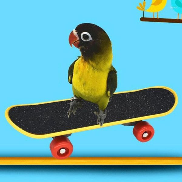 Outros suprimentos de pássaros papagaio inteligência brinquedos mini treinamento plástico skate para budgies periquito crescimento engraçado moagem garra scooter