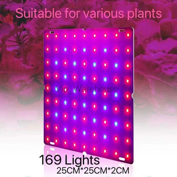 Grow Lights Lampada per piante Lampada a spettro completo a LED Lampada per piante a LED Lampada per piante da interno in serra Lampada per tenda per piantagione idroponica YQ230926