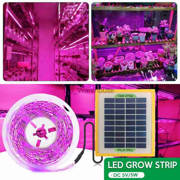 Luzes de cultivo Solar LED Grow Light Strip Full Spectrum Phytolamp 5V SMD 2835 Luz de crescimento de plantas para plantas Sementes Flor Estufa Hidropônica YQ230927