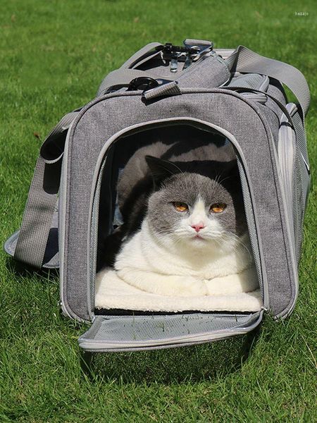 Zaino da viaggio per animali domestici alla moda per trasportini per cani con finestre in rete, facile da trasportare per borse con cinghie regolabili per cani e gatti