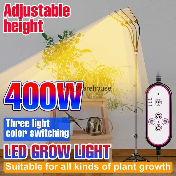 Luzes de cultivo 12V Phyto Lamp Led Grow Light Planta Growth Light Full Spectrum Hydroponics Bulb Grow Tent Greenhouse Lamp 100W 200W 300W 400W YQ230926 YQ230926