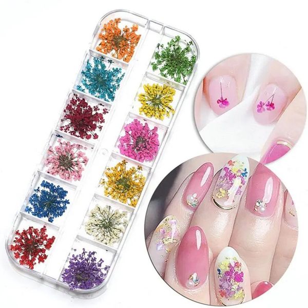 Nail Art Dekorationen 1 5PCS 12 Farbbox 3D getrocknete Blumendekoration natürliche Blumen gemischt trocken DIY Schmuck Charms UV Gelpoliermittel 230927