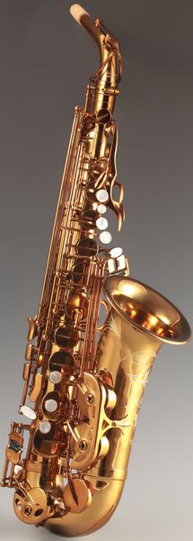 JPS-769 New Arrival Alto Eb Tune Saxofone Instrumento Musical de Bronze Laca de Ouro Sax Com Caso Bocal Frete Grátis