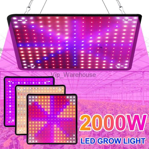 Luzes de cultivo Placa Quantum LED PhytoLamp Full Spectrum 2000W Luz de planta para plantas de interior Lâmpada de crescimento de estufa de flores EUA / Reino Unido / EUPlug YQ230927