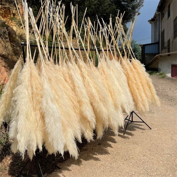 Faux Floral Greenery Atacado 12 Pcs Fofo Grande Pampas Grass Decoração de Casa Natural Flor Seca Decorativa Peça Central de Casamento Boho Pampas Grass Decor 230926