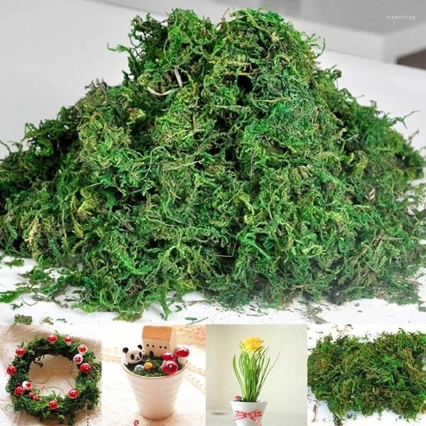 Fiori decorativi 20g/50g/100g Artificiale Mantenere Asciutto Verde Muschio Simulato Pianta Giardino Vaso di Fiori Decor FAI DA TE Micro Paesaggio Casa