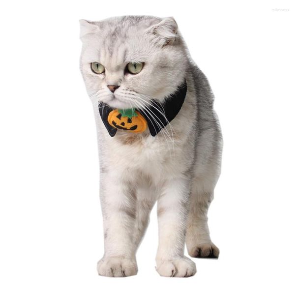 Collari per cani Collare di zucca nero Forniture per cravatte per gatti per animali domestici per la vita quotidiana Festa di Halloween
