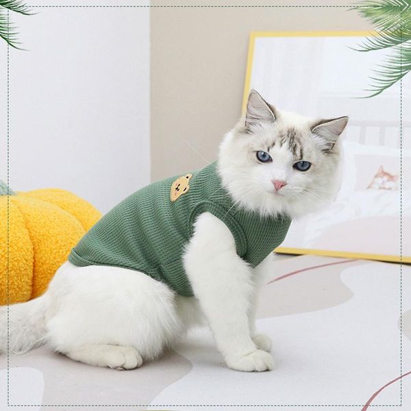 Costumi per gatti Vestiti per animali domestici Gilet con stampa orso Cucciolo Gattino Girocollo T-shirt senza maniche Primavera Estate Abbigliamento casual per cani di piccola taglia media