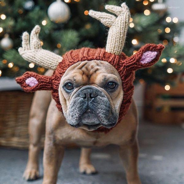 Vestuário de cão bonito animais de estimação gato chapéu outono inverno malha cães boné cervos orelhas quentes chapéus festa de natal cosplay animais de estimação acessórios suprimentos