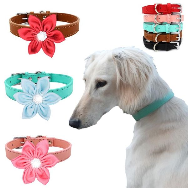 Collari per cani Cucciolo di gatto Collare in pelle PU con fiore regolabile per animali domestici solidi per cani di piccola taglia Accessori Para Perro Mascotas Prodotto