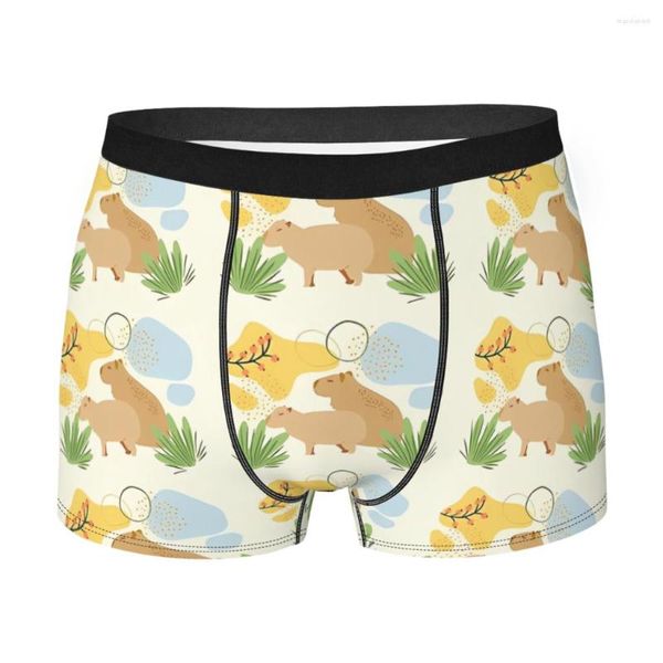 Mutande Capybara Cartoon Mutandine traspiranti astratte e minimali Intimo maschile Comodi pantaloncini Boxer