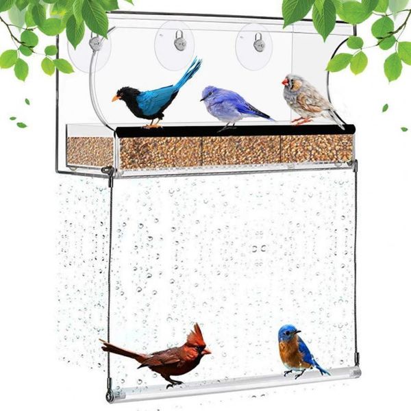 Altre forniture per uccelli 1 set distributore di cibo mangiatoia in acrilico trasparente con fori di drenaggio design altalena impermeabile colibrì