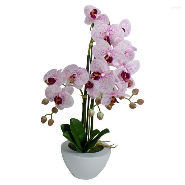 Bir tencerede dekoratif çiçekler ve beyaz yapay orkide bitkisi