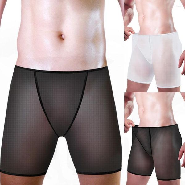 Cuecas sexy homens malha ver troncos beachwear roupa interior ultra-fino cintura média boxer shorts lingerie confortável bikini bottom briefs