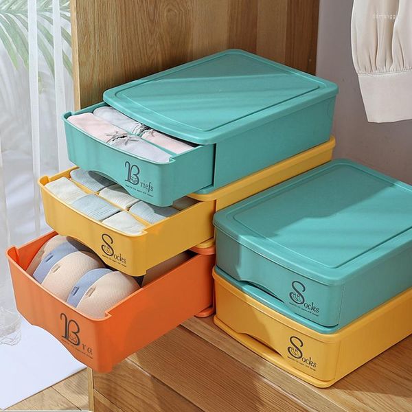 Cassetto di stoccaggio cassetto biancheria intima scatola da casa dormitorio calzini organizzanti reggiseno abbigliamento