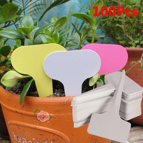 Decorazioni da giardino 100 pezzi Etichette Pianta da giardinaggio Classificazione Segno di smistamento Etichetta Biglietto Biglietto da scrivere in plastica Scheda plug-in Carta bianca