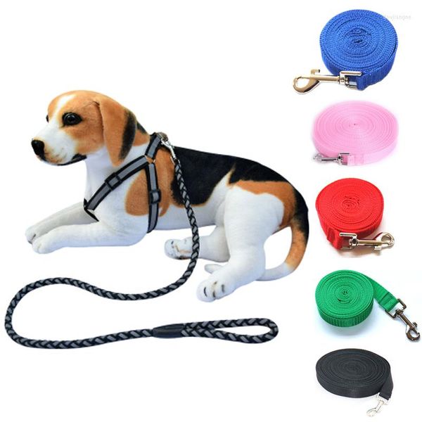 Collari per cani Guinzagli da addestramento in nylon Articoli per animali domestici Walking Jogging Collare regolabile Corda per cani Cat Stretch Traction