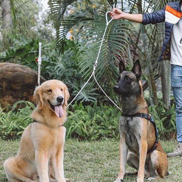 Köpek yakaları 3 metre köpekler için çift başlı tasma dayanıklı çelik telli evcil hayvan tasma anti-ısırık kravat dış mekan önde gelen kemer malzemeleri