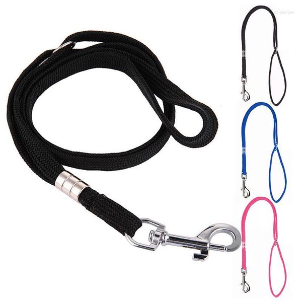 Collari per cani Legendog 1pc Grooming Loop Cappio regolabile per animali domestici per braccio da tavolo Forniture accessori