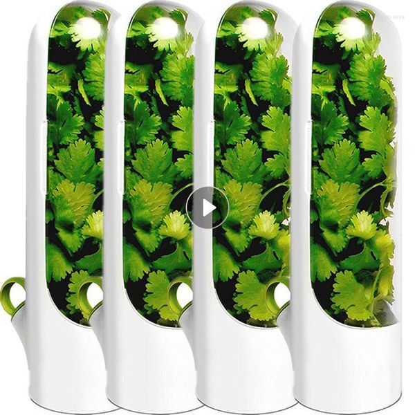 Garrafas de armazenamento SAVER Premium recipiente mantém os vegetais verdes Repersor de Fridge Clear Spice Fridge