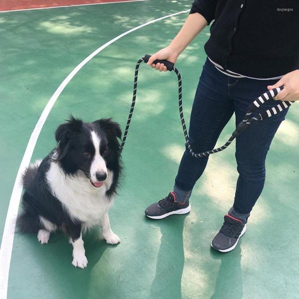 Köpek yakaları yansıtıcı naylon yürüyüş tasarı çift yumuşak tutamaç çekiş ipi besleme ayarlanabilir oyuncak alışveriş anti-ısırık kemer