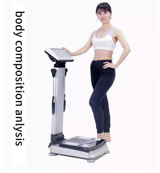 Composizione corporea dell'analizzatore dello scanner di prova della macchina di analisi della salute delle bilance del peso corporeo all'ingrosso