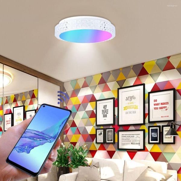 Tavan Işıkları WiFi RGB LED Yuvarlak Ultra İnce Düz Panel Işık RF Uzaktan Kumanda Downlights Spotlight