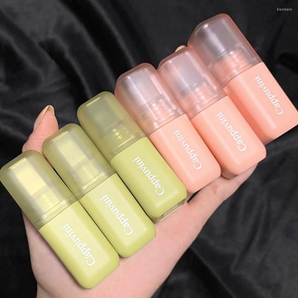 Lip Gloss 3G Belas texturas suaves Tubo multicolor Multiticolor Cosméticos de longa duração Cosméticos Clay fosca de veludo leve para Fe