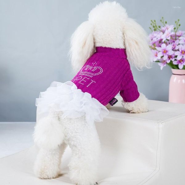 Abbigliamento per cani che vende vestiti per animali domestici autunnali e invernali Gonna a bolle stampata con perforazione a corona per piccoli abiti da principessa