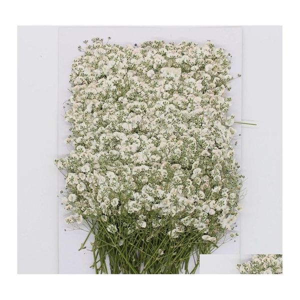 Vegetazione floreale finta 120 pezzi Gypsophila naturale Fiori secchi Piccolo bouquet Pressa a secco Mini decorativo Pography Sfondo Decor 22 Dhjk0