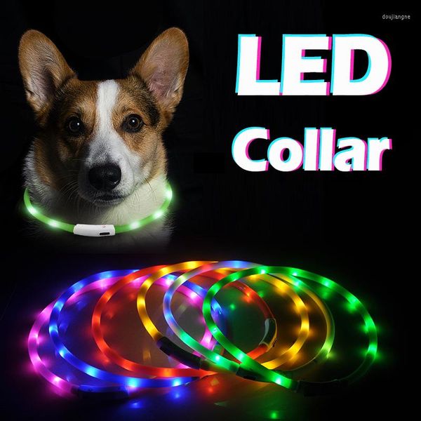 Hundehalsbänder, leuchtendes Halsband, LED, für Hunde, Katzen, Licht, Haustier, USB, aufladbar, klein, groß, Zubehör