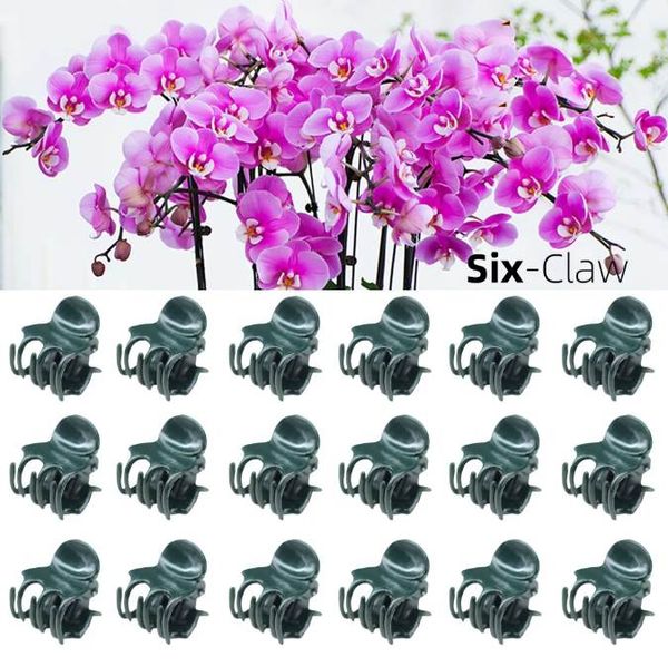 50 pièces 6 griffes vert foncé plante Clips orchidée fleurs Support pince escalade vigne tige fermoir attaché faisceau branche jardin outil