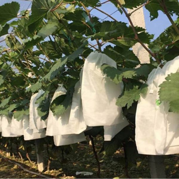 50PCS Fruit Grow Bags Anti Bird Drawstring Grape Protection Bag Strumento di controllo dei parassiti Previene la crescita delle piante Borse attrezzi da giardino