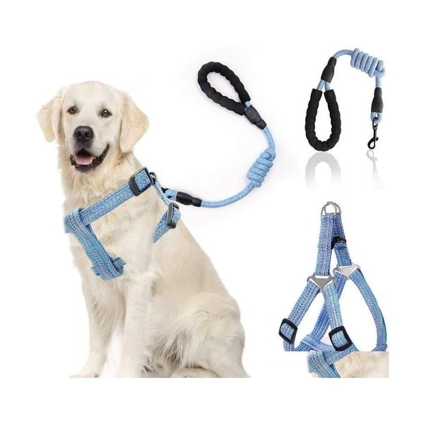 Colarinho de cachorro colaresh churness colher corda conjunto cães ajustáveis ​​tração nas costas do peito filhote de pet nylon durável em correia de corrente de caminhada ao ar livre dhnai